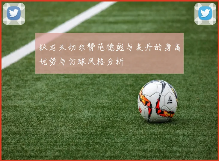 狄龙米切尔赞范德彪与麦丹的身高优势与打球风格分析