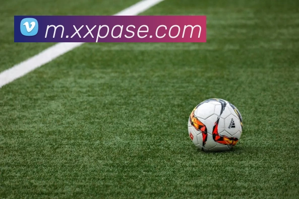 赛事专题整合